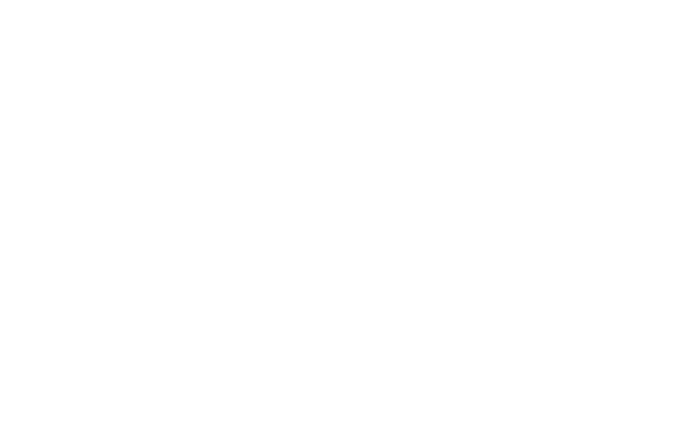import auto repair nashville logo